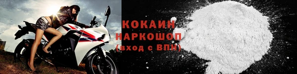 стаф Новокубанск