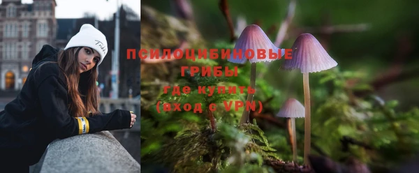 мет Арсеньев