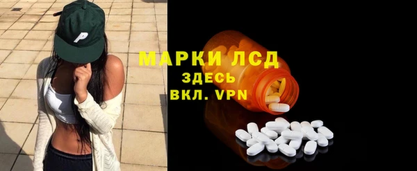 сатива Аркадак