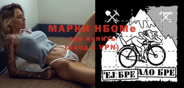 сатива Аркадак