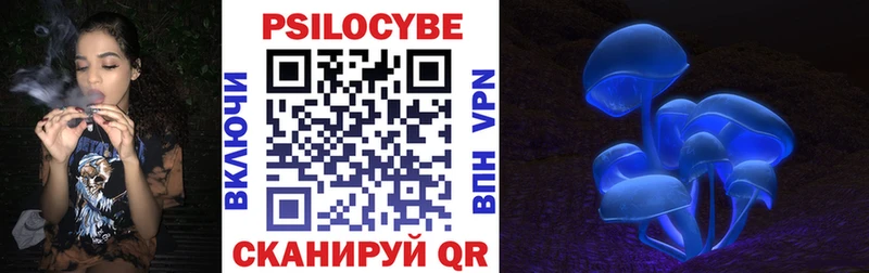 Псилоцибиновые грибы Psilocybine cubensis  Аксай 